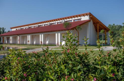 Csolyospalos Hotel | Experience Csipkerozsa Parkhotel: 4-Star Comfort Awaits