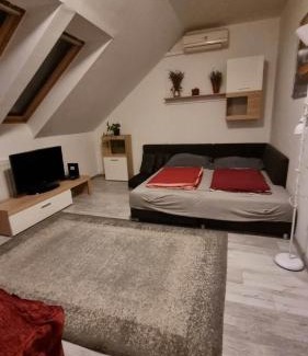 Bekescsaba Apartment | Discover Csodaszép: Pet & Child Friendly Getaway