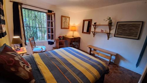 Coyoacan House | Inviting Room Near ITAM & UNAM with Kitchen & Breakfast