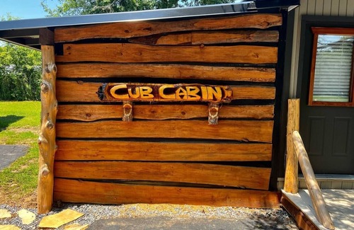 Hot Springs Cabin | Pet-Friendly Cub Cabin Bunkhouse with Breakfast Included