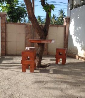 Banyuwangi Hotel | Budget-Friendly Stay at Cubic One Capsule Banyuwangi