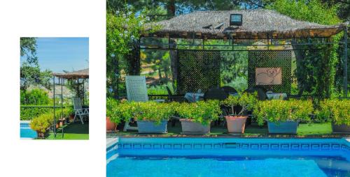 Alhaurin el Grande House | Explore Cubo's Casa Rural Finca La Biznaga – 4-Star Escape