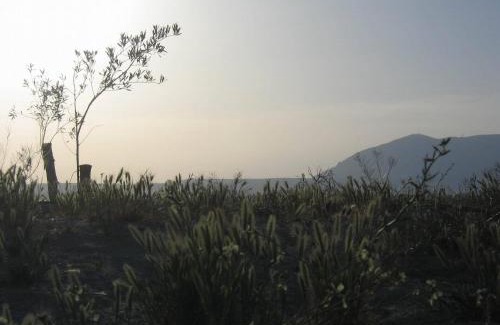 Baza Apartment | Discover Cuevas Alcobas: Family-Friendly with Pool Access