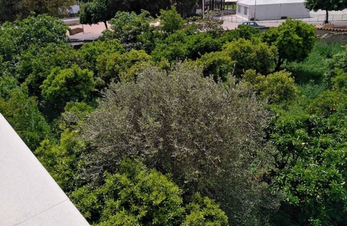 Villaputzu House | Discover Cuoridilatta: Trekking and Beach Bliss Awaits