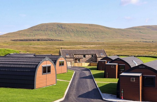 Yockenthwaite Cottage | Curlew