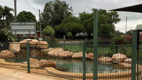 Yungaburra Hotel | Relaxing Oceanfront Escape at Curtain Fig Motel
