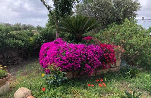 Monteroni di Lecce Bed & Breakfast | Enjoy Curti Russi: Pet-Friendly Stay with Breakfast & Comfort