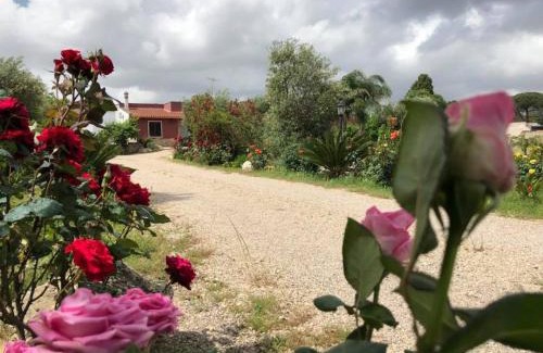 Monteroni di Lecce Bed & Breakfast | Enjoy Curti Russi: Pet-Friendly Stay with Breakfast & Comfort