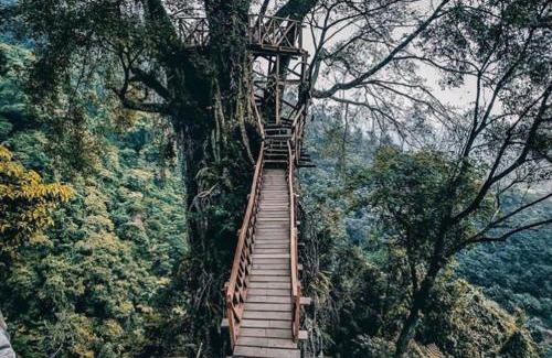 Cibodas Cabin | Discover Curug Ciherang Villa & Glamping with Pool Access
