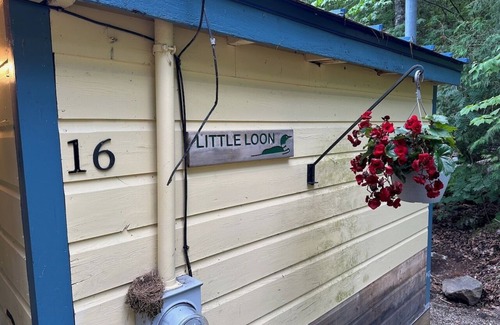 Franklin Cabin | Cozy Cabin by Donnells Pond: Guest Rated 9.8 & Pet Friendly