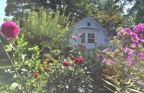 Woodbridge Cottage | Cute Country Cottage: Guest Rated 10/10 with Breakfast
