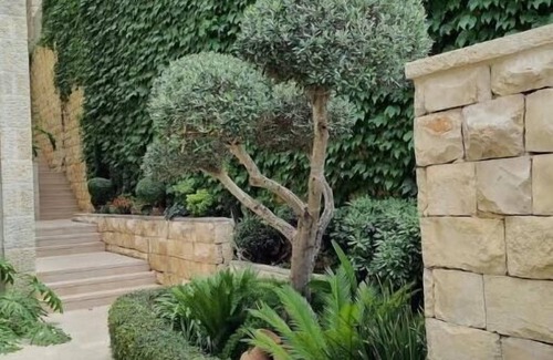 Ein Karem Apartment | Charming Studio Near Yad Vashem with Free Parking