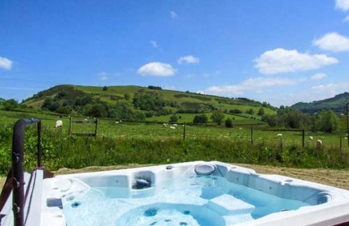 Knighton House | Elegant Cwmgilla Farm: Pet-Friendly Stay with Pool Access