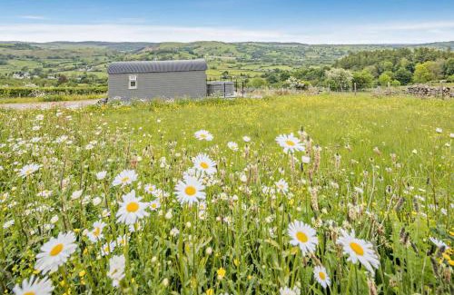 Llanfair Caereinion House | Family-Friendly Cwt Eithin with Inviting Hot Tub Experience