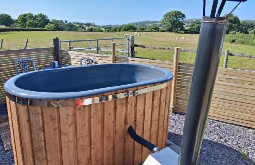 Rhyd-y-foel House | Pet-Friendly Cwtch Winnie Shepherds Hut for Memorable Stays