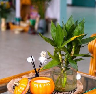 Tho Quang Beach Villa | Cy'Home Đà Nẵng