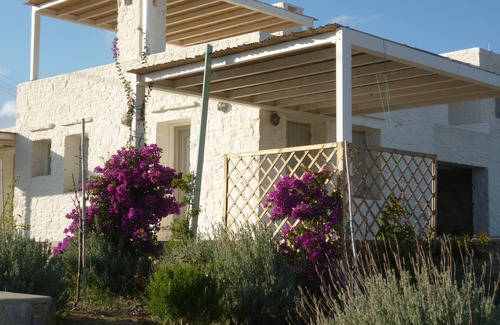 Piso Livadi House | Serene Cycladic Villa with Infinity Pool & Ocean Views