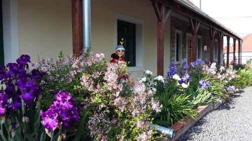 Tolcsva Apartment | Guest Rated Cziróka Vendégház: Family-Friendly Retreat