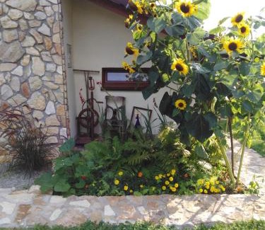 Boleslaw House | Discover Czytelnia w Sadzie: Guest Rated 9.8 & Family-Friendly