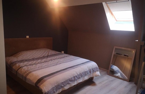 Ellezelles House | Discover Découvrye Rigaudrye: Family and Pet Friendly Stay