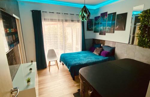 Aussonne Apartment | Dépendance 2 chambres secteur MEETT