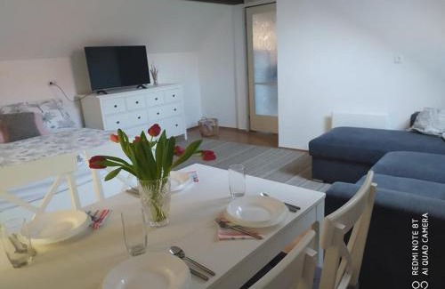 Balatonszarszo Apartment | Guest Rated 10/10: Dóra Apartman - Family-Friendly Retreat