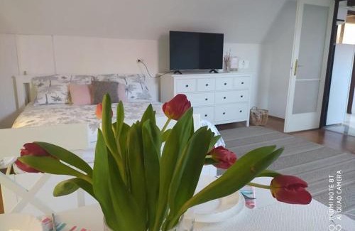 Balatonszarszo Apartment | Guest Rated 10/10: Dóra Apartman - Family-Friendly Retreat