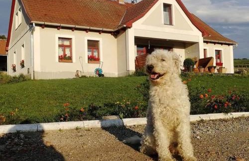 Cserepfalu House | Discover Dósa tanya: Guest Rated 9/10 with Great Amenities