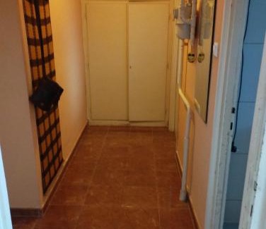 Oroshaza Apartment | Top-Rated Dózsa Apartman Orosháza: Pet & Child Friendly