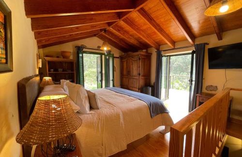 Firgas House | Inviting Guests to a Forest Duplex with Ocean Views