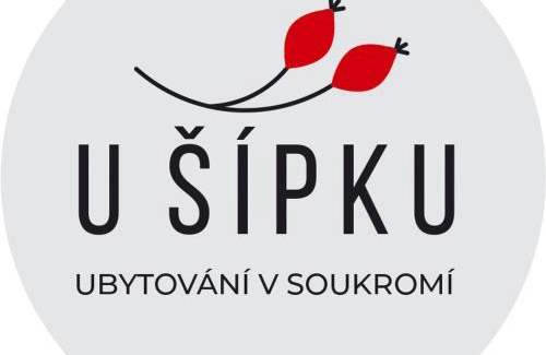 Krasna Lipa House | Budget-Friendly Dům U Šípku: Pet & Child Friendly Stay