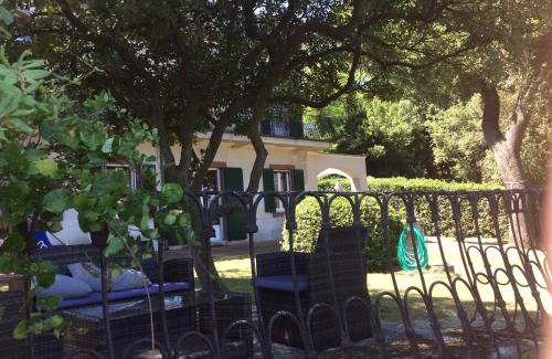 Ancona Bed & Breakfast | Experience Oceanfront Bliss at D'AGO48 - 9.6/10 Rated