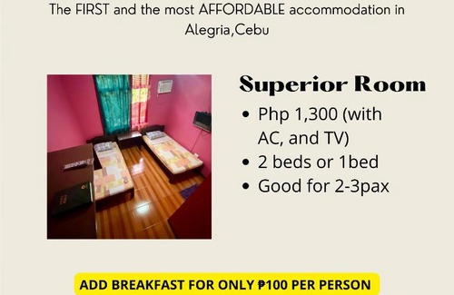 Alegria Hotel | D Alegre Travellers Inn: Oceanfront Getaway with Breakfast