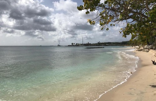 Speightstown Apartment | Welcome to D'AMORE: Guest Rated 9/10 with Breakfast & Kitchen