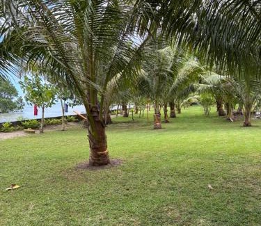 Bataraza Bed & Breakfast | D, Mango Rooms