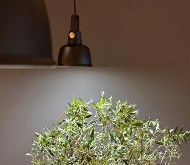 Codru Hotel | d'or Hotel