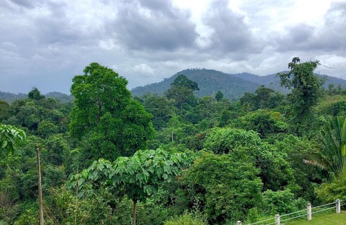 Kuala Tahan Hotel | Discover Family-Friendly Comfort at D View Hill Hotel