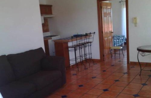Las Gaviotas Apartment | Oceanview Apartment in Golden Zone with Stellar Reviews