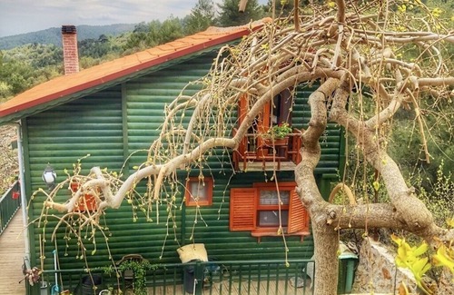 Ayvacik Ski Chalet | Welcoming Dağ Evi: Pet-Friendly Retreat with Kitchen & Breakfast