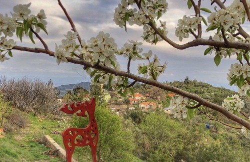 Ayvacik Ski Chalet | Welcoming Dağ Evi: Pet-Friendly Retreat with Kitchen & Breakfast