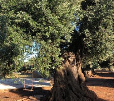 Speziale House | Family-Friendly Retreat at da Annamaré - Rated 9/10