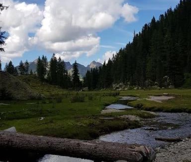 Borgo Valsugana Apartment | Family-Friendly Retreat at Da Lucia - Top Rated 9/10
