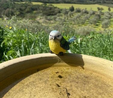 Teulada House | Pet-Friendly Retreat: Da Nonno Francesco with 9/10 Rating