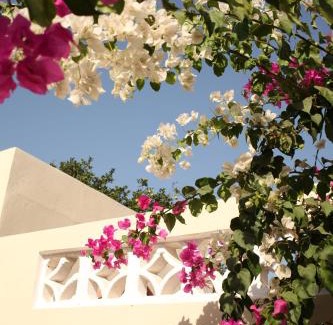 Brusubi Hotel | Budget-Friendly Dabo House with Pool and Breakfast