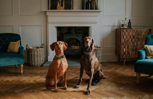 Gilsland Bed & Breakfast | Discover Dacre House, Gilsland: Pet-Friendly Retreat Awaits