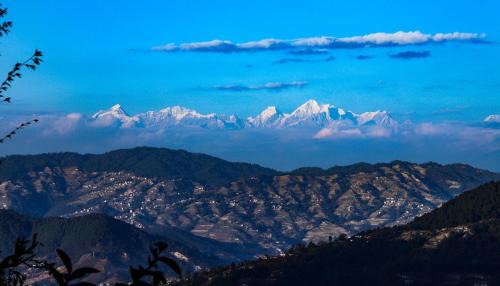 Panaoti House | Cozy Dadaghare Homestay & View Point Restaurant Experience