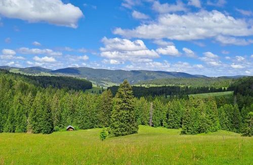 St. Blasien Apartment | Unwind at Daheim im Geissetal: Pet & Child Friendly Stay