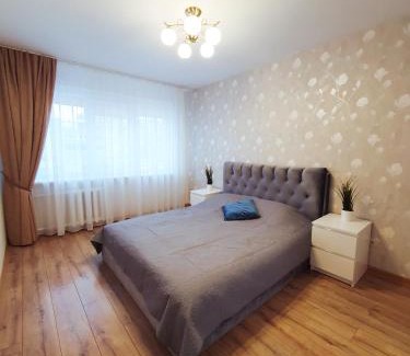 Siauliai Apartment | Family-Friendly Dainai 1-Bedroom Apartment with Top Rating
