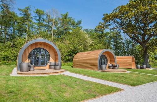 Pickering Cabin | Family-Friendly Daisy Glamping Pod with Gold Award Status