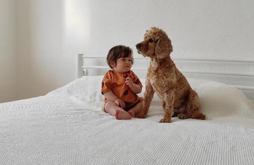 Gelemis Apartment | Cozy Daisy Village Home: Ideal for Families and Pets